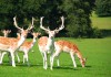 Cumbrian Stag Party!