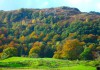 AUTUMN COLOURS