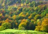 AUTUMN COLOURS