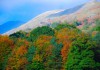 AUTUMN COLOURS