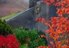 AUTUMN COLOURS