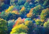 AUTUMN COLOURS