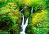 Stockghyll Force
