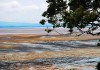 Morecambe Bay