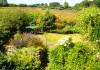 The Private, Enclosed Garden The Private, Enclosed Garden