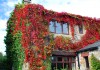 Grange End Cottage in Autumn Grange End Cottage in Autumn
