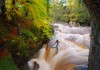 River Eden