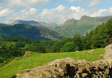 Langdale