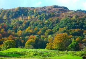 Loughrigg Fell in Autumn
