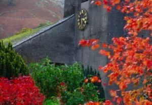 Autumn trees at Grasmere
