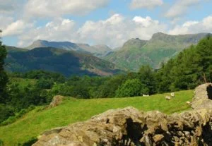 Langdales from Ivy Crag