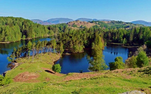 View of Tarn Hows