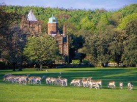 Holker Hall and Gardens