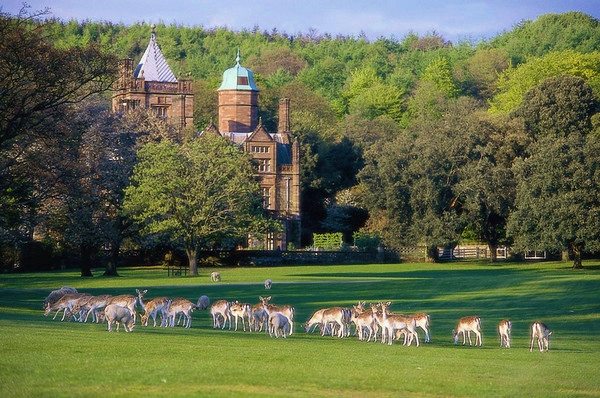 Holker Hall and Gardens