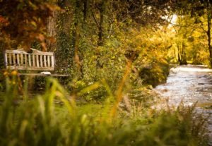 The River Crake and bench at Sawmill Cottage
