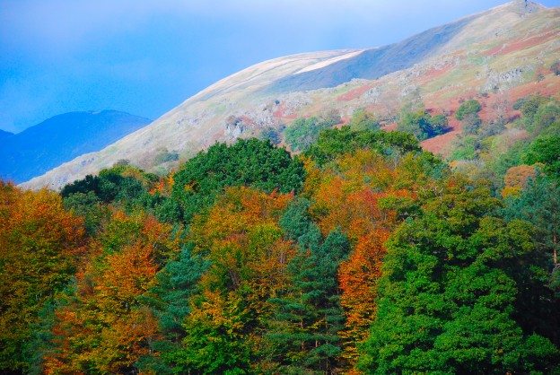 Autumn mountain scene in the Lake District
