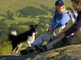 A couple having fun with their dog