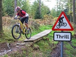 Mountain biking in Grizedale Forest