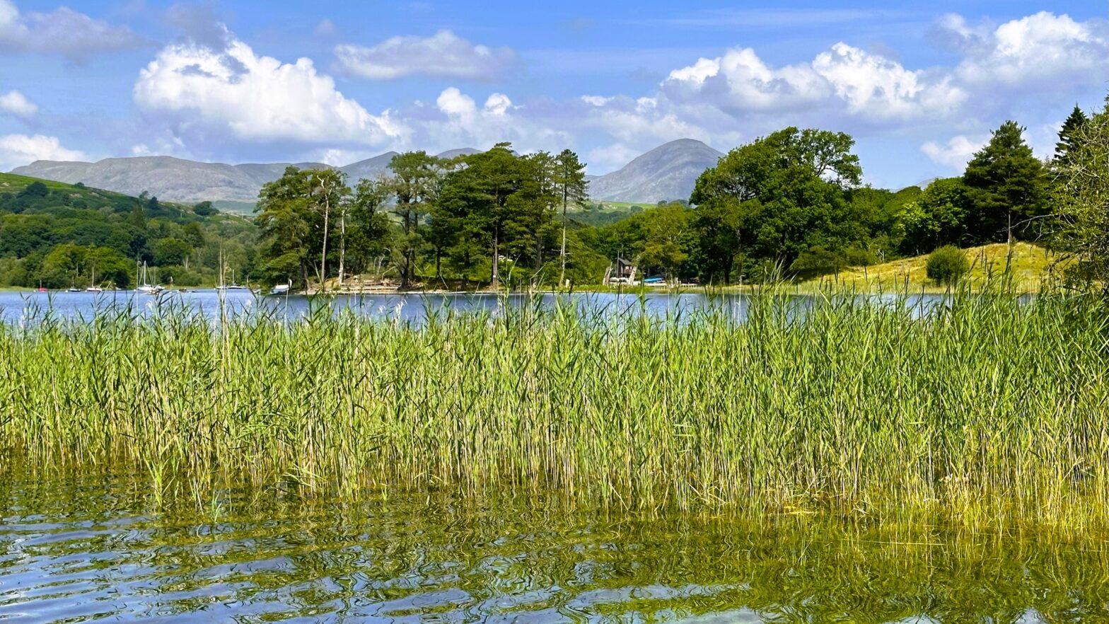 Photo of Coniston Water at High Nibthwaite