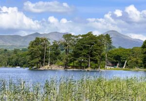 Photo of the Coniston fells and Coniston Water at High Nibthwaite in summer