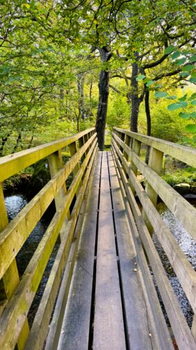 Image of a foot bridge over Tarn Beck