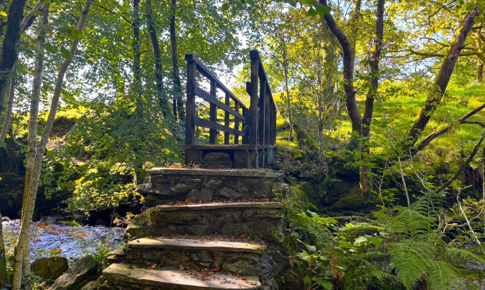 Bridge over Tarn Beck