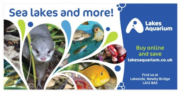 Lakes Aquarium at Lakeside